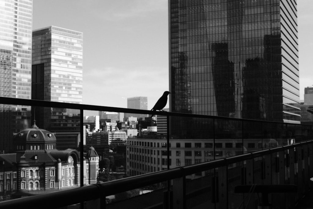 Photo passive income investments