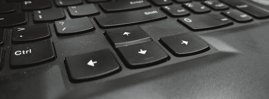 accounts payable software