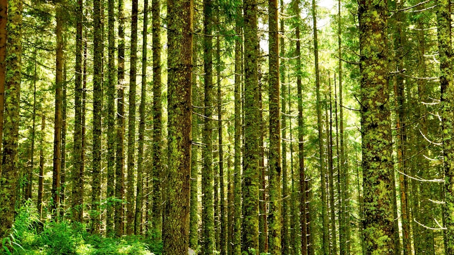 environmental accounting