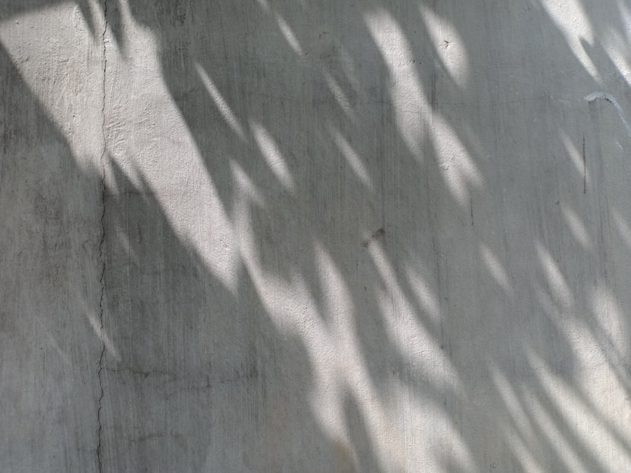 Photo donation deduction