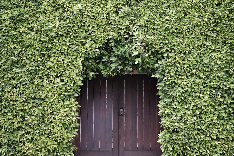 Photo hedge accounting