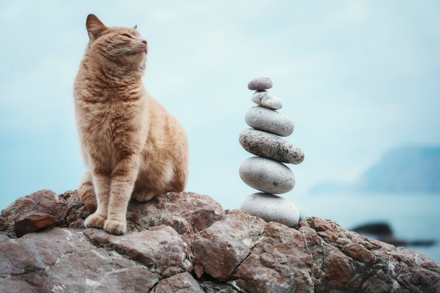 Photo balance statement