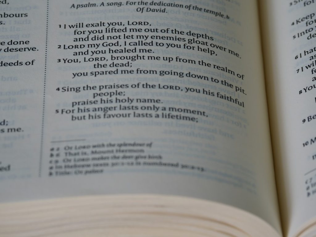 Photo section 199a dividend