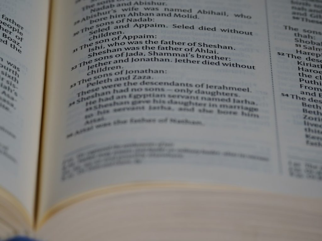 Photo statutory audit